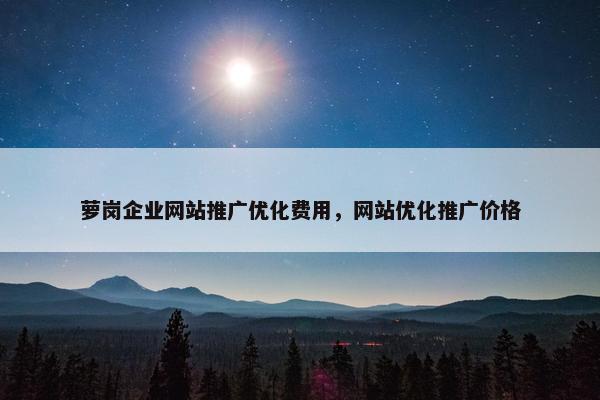 萝岗企业网站推广优化费用，网站优化推广价格
