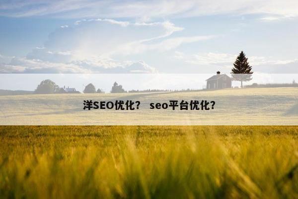 洋SEO优化？ seo平台优化？