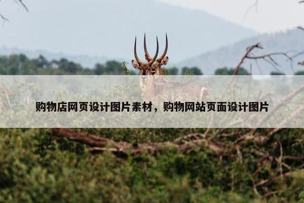 购物店网页设计图片素材，购物网站页面设计图片