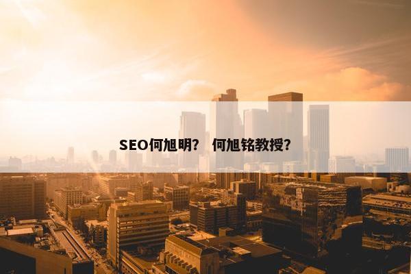 SEO何旭明？ 何旭铭教授？