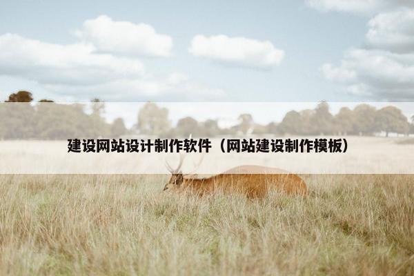 建设网站设计制作软件（网站建设制作模板）