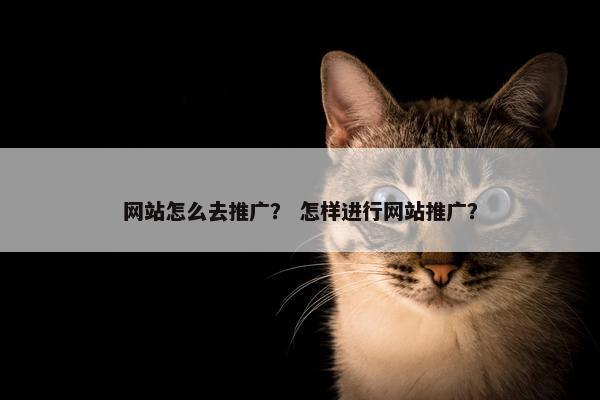 网站怎么去推广？ 怎样进行网站推广？