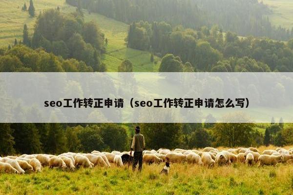 seo工作转正申请（seo工作转正申请怎么写）
