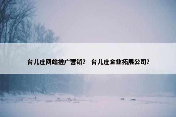 台儿庄网站推广营销？ 台儿庄企业拓展公司？