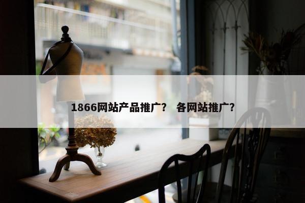 1866网站产品推广？ 各网站推广？