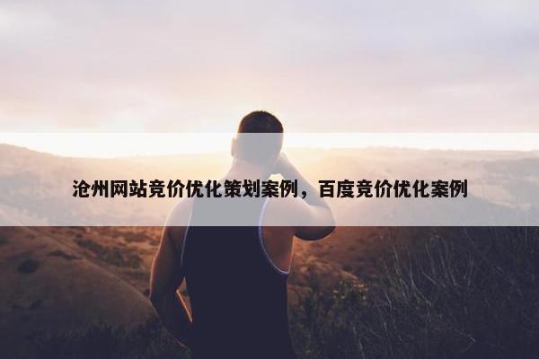 沧州网站竞价优化策划案例，百度竞价优化案例
