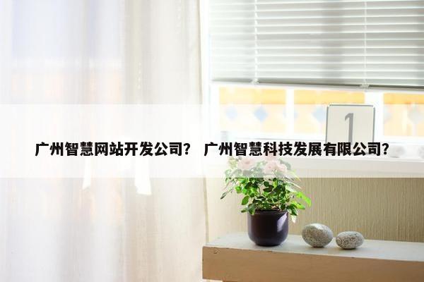 广州智慧网站开发公司？ 广州智慧科技发展有限公司？