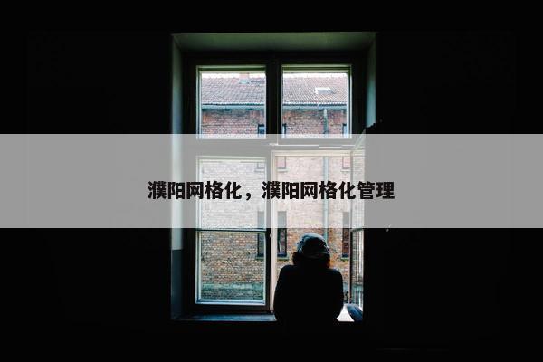 濮阳网格化，濮阳网格化管理