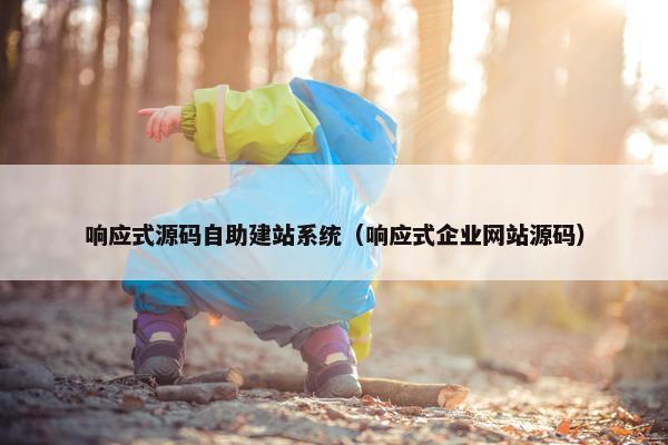 响应式源码自助建站系统（响应式企业网站源码）