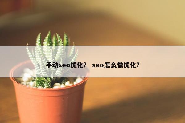 手动seo优化？ seo怎么做优化？