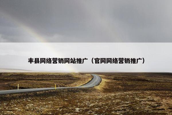 丰县网络营销网站推广（官网网络营销推广）