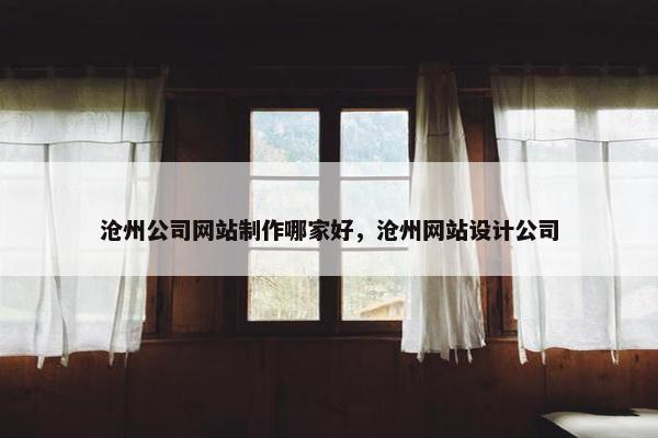 沧州公司网站制作哪家好，沧州网站设计公司