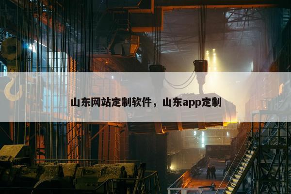 山东网站定制软件，山东app定制