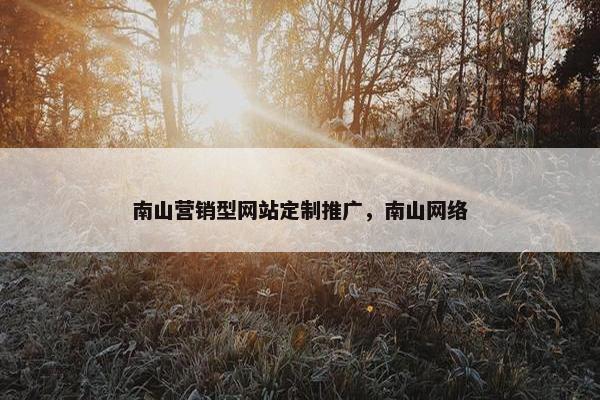 南山营销型网站定制推广，南山网络