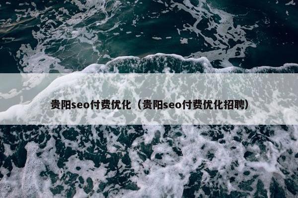 贵阳seo付费优化（贵阳seo付费优化招聘）