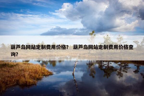 葫芦岛网站定制费用价格？ 葫芦岛网站定制费用价格查询？