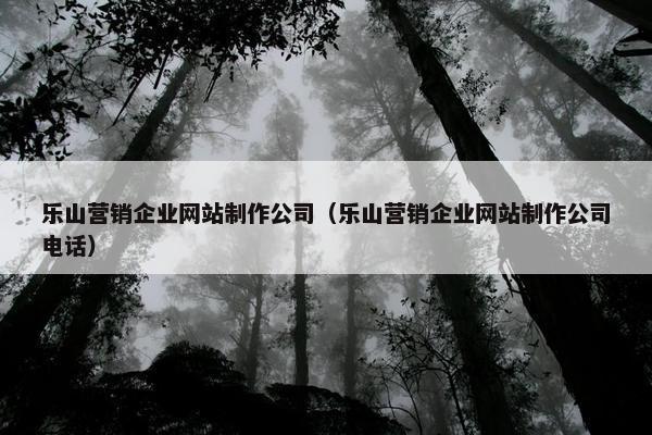 乐山营销企业网站制作公司（乐山营销企业网站制作公司电话）