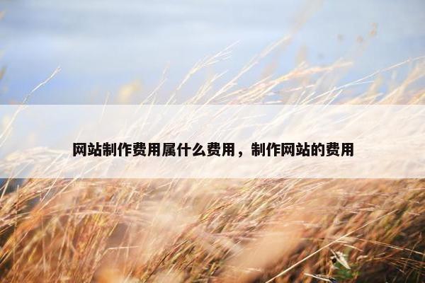网站制作费用属什么费用，制作网站的费用