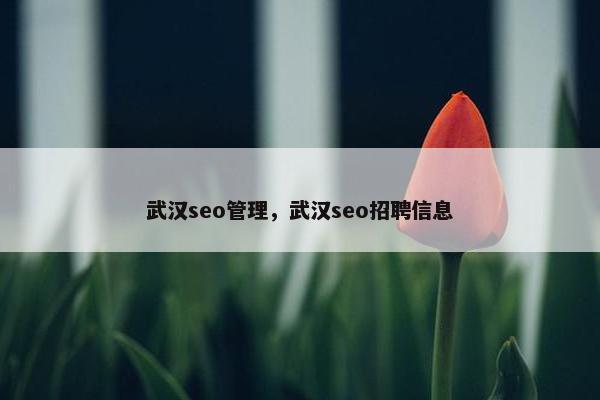 武汉seo管理，武汉seo招聘信息
