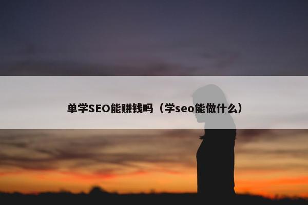 单学SEO能赚钱吗（学seo能做什么）