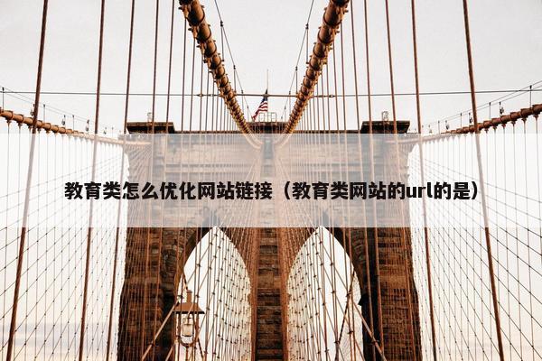 教育类怎么优化网站链接（教育类网站的url的是）