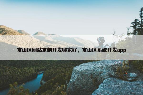 宝山区网站定制开发哪家好，宝山区系统开发app