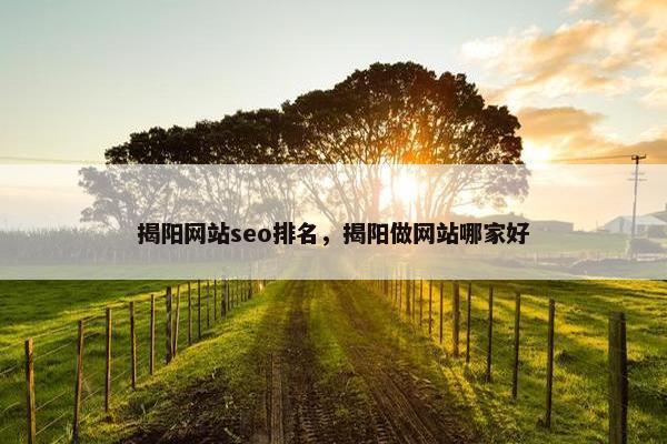 揭阳网站seo排名，揭阳做网站哪家好