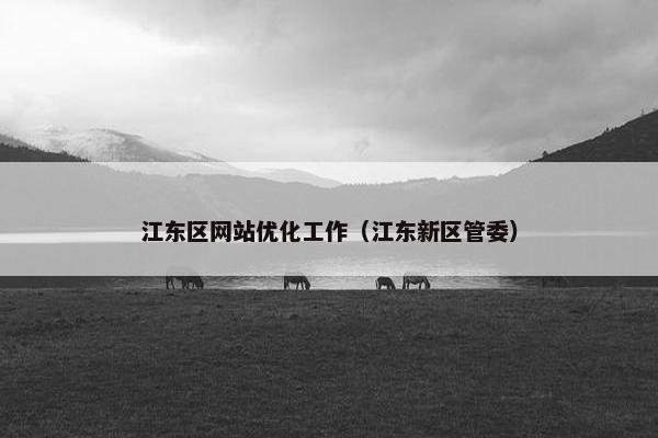江东区网站优化工作（江东新区管委）