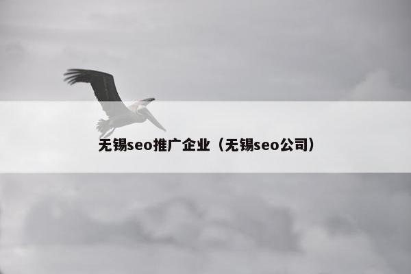 无锡seo推广企业（无锡seo公司）
