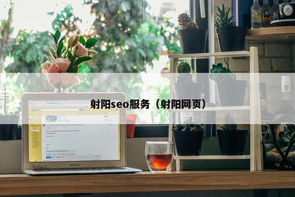 射阳seo服务（射阳网页）