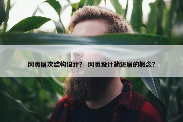 网页层次结构设计？ 网页设计简述层的概念？