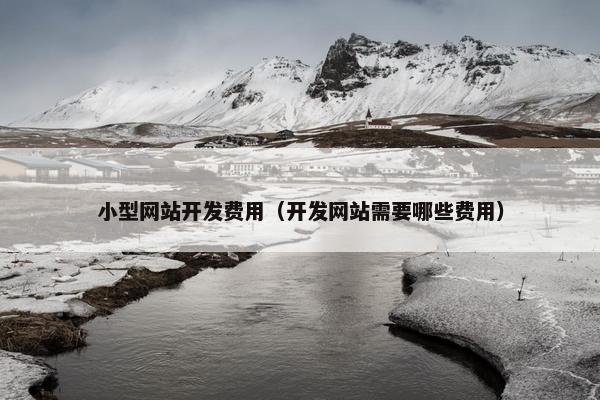 小型网站开发费用（开发网站需要哪些费用）