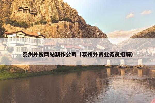 泰州外贸网站制作公司（泰州外贸业务员招聘）
