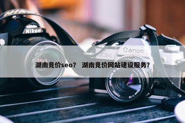 湖南竞价seo？ 湖南竞价网站建设服务？