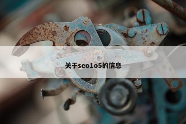 关于seo1o5的信息