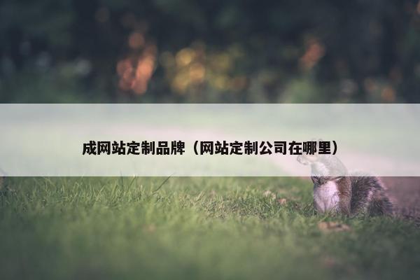 成网站定制品牌（网站定制公司在哪里）