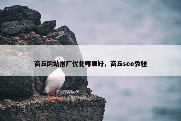 商丘网站推广优化哪里好，商丘seo教程