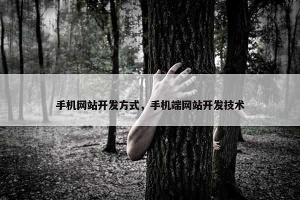 手机网站开发方式，手机端网站开发技术