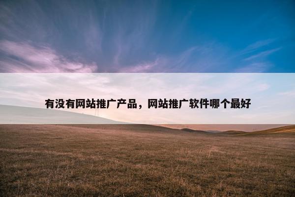 有没有网站推广产品，网站推广软件哪个最好