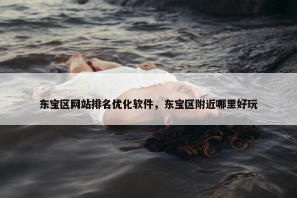 东宝区网站排名优化软件，东宝区附近哪里好玩
