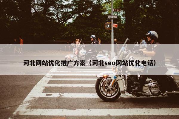 河北网站优化推广方案（河北seo网站优化电话）