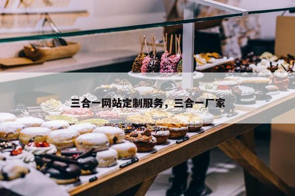 三合一网站定制服务，三合一厂家