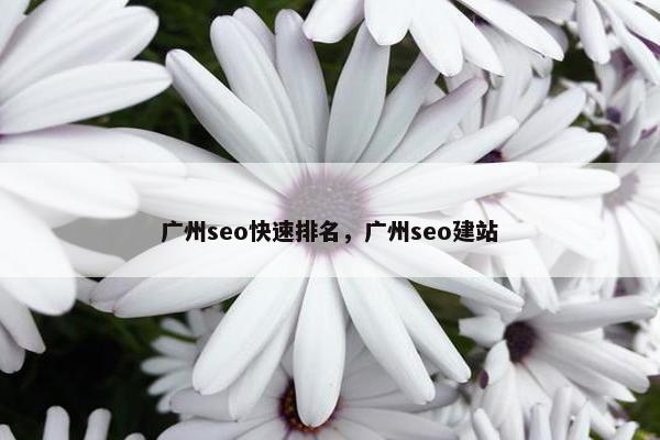 广州seo快速排名，广州seo建站