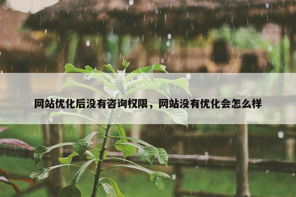 网站优化后没有咨询权限，网站没有优化会怎么样