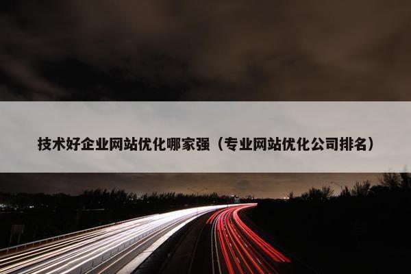 技术好企业网站优化哪家强（专业网站优化公司排名）