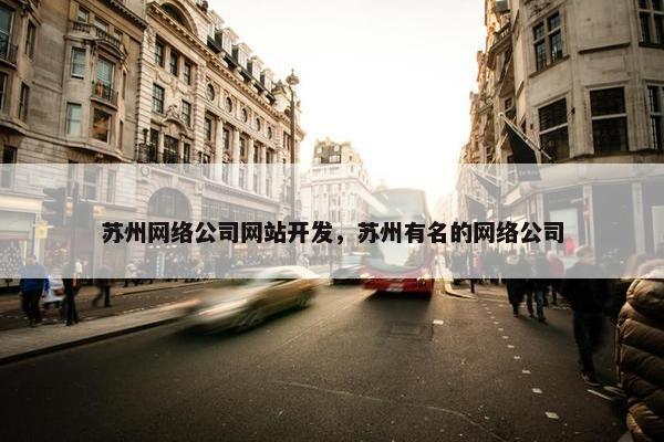 苏州网络公司网站开发，苏州有名的网络公司
