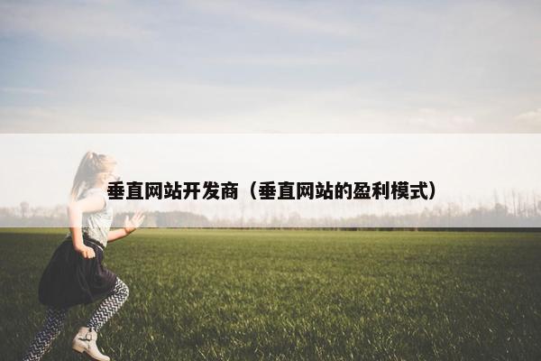 垂直网站开发商（垂直网站的盈利模式）