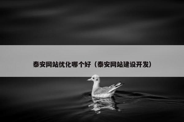 泰安网站优化哪个好（泰安网站建设开发）