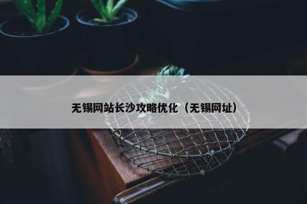 无锡网站长沙攻略优化（无锡网址）