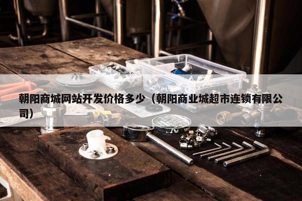 朝阳商城网站开发价格多少（朝阳商业城超市连锁有限公司）